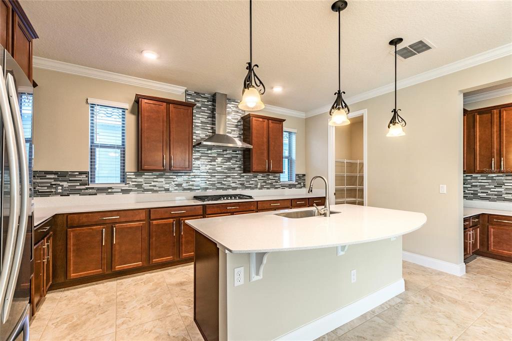 8278 Procida Isle Lane Windermere, FL 34786 - Photo 31 of 90