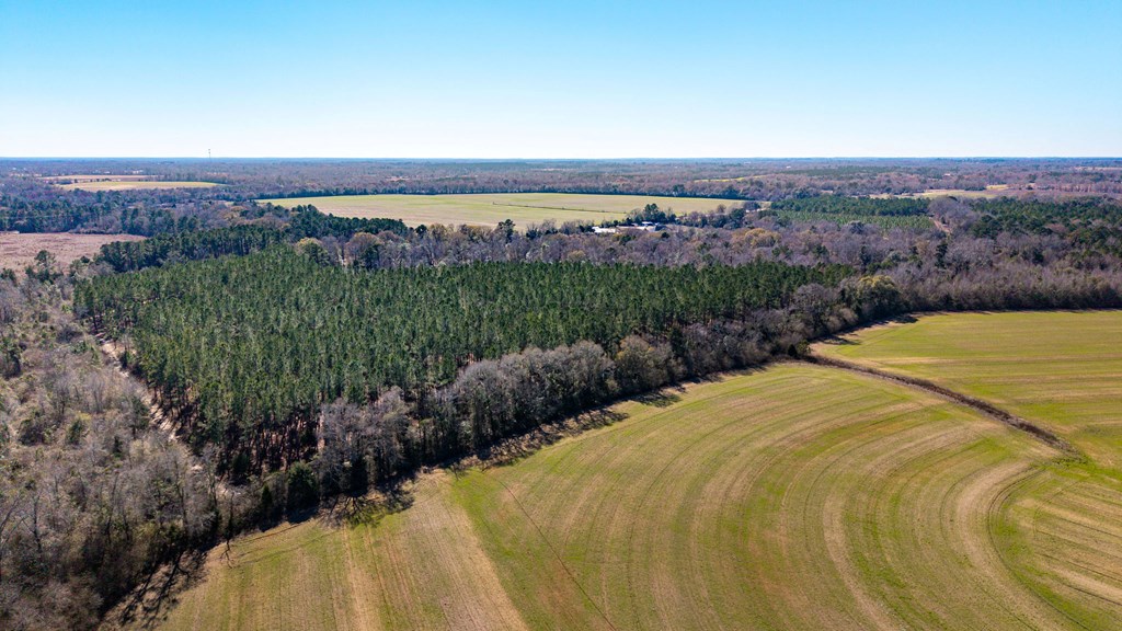 0 Bruner Pond Road Ashford, AL 36312 - Photo 5 of 30