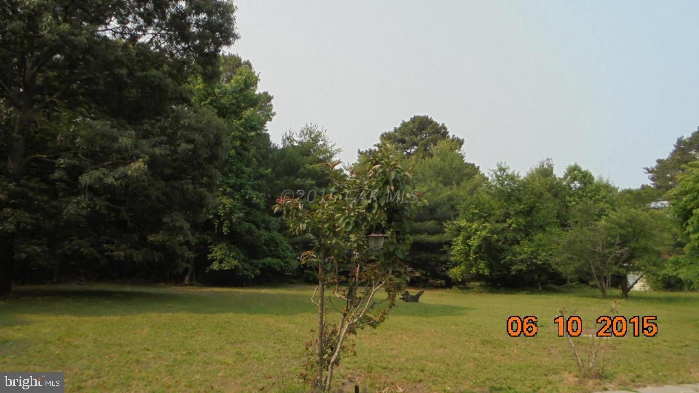 23143 Harrison Road Deal Island, MD 21821 - Photo 3 of 22 Gallery Image 3