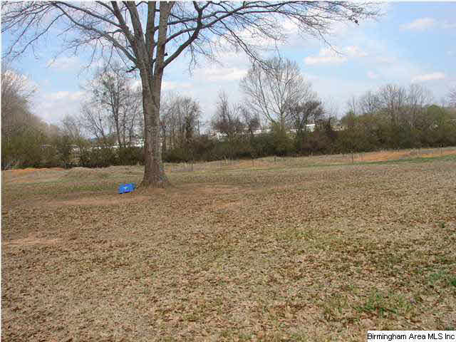 88 Brantleyville Drive Alabaster, AL 35114 - Photo 31 of 32