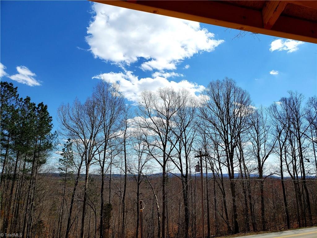 3328 Old Mountain Road Lexington, NC 27292 - Photo 4 of 8 VIEWS!!!!!