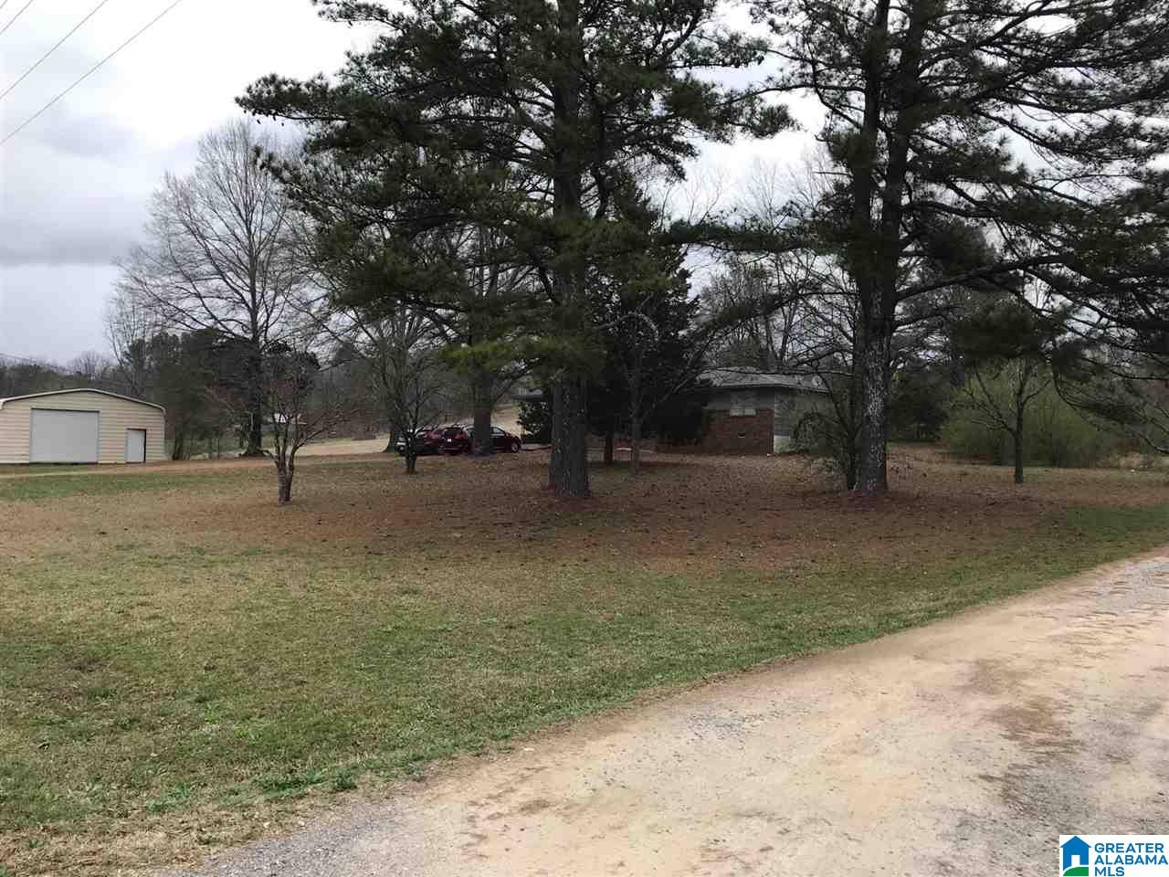 550 Tabernacle Road Locust Fork, AL 35097 - Photo 4 of 19