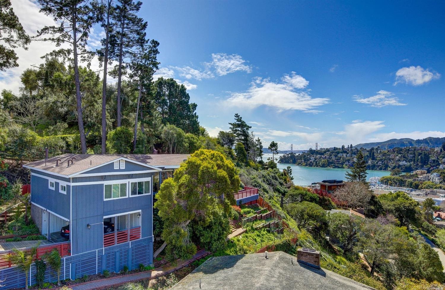 a view of a houses with a yard and plants