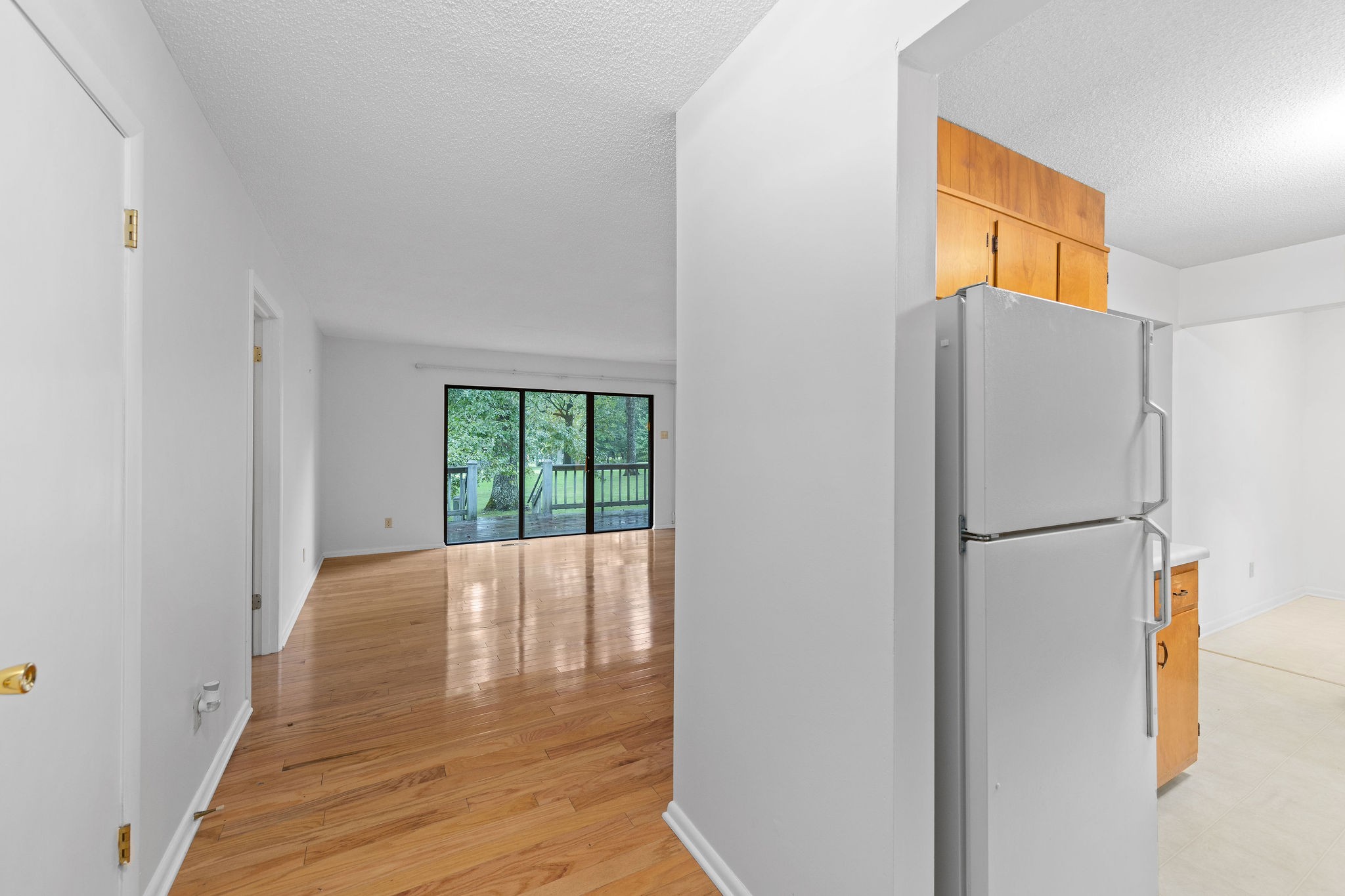 3008 Seminole Loop Crossville, TN 38572 - Photo 3 of 29 a view of an empty room with wooden floor and a window