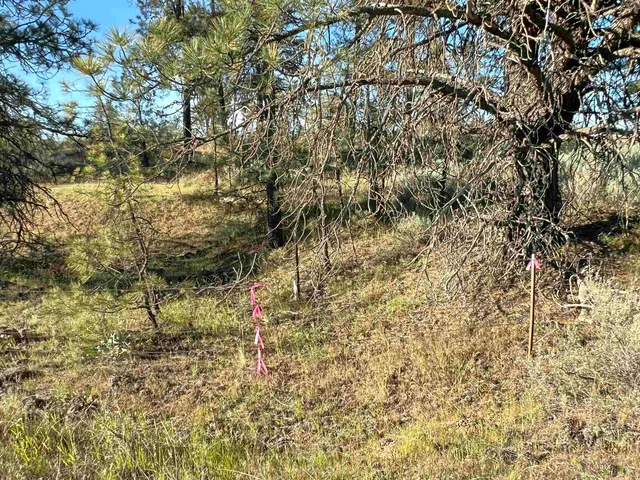 $280,000 | Undisclosed Address, Edwall, WA 99008