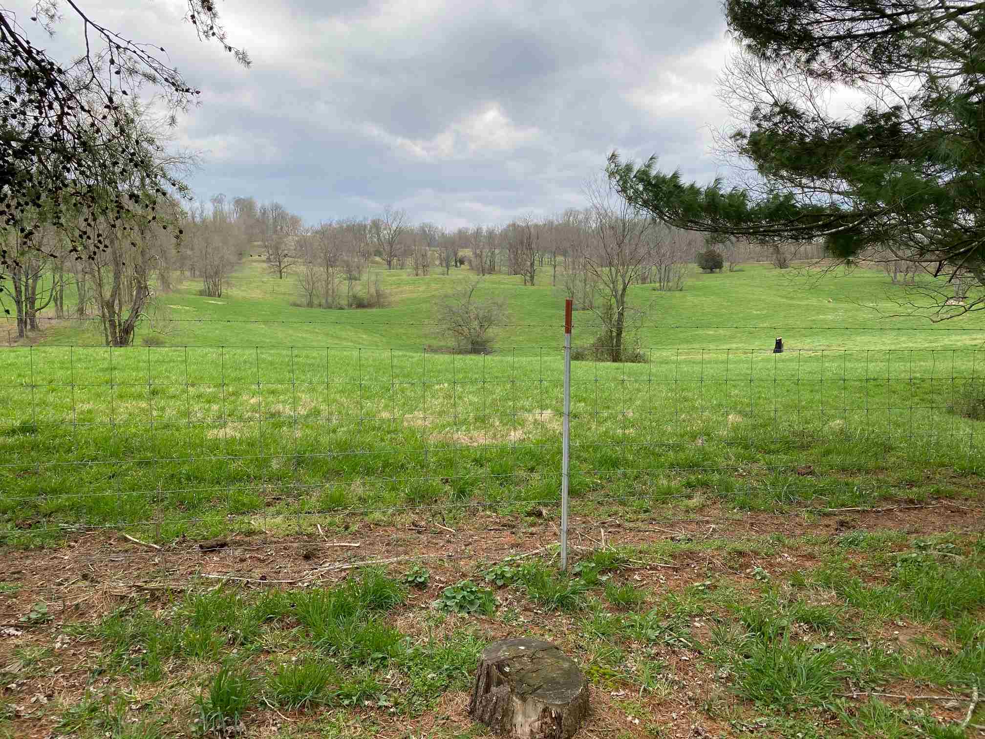 749 Twin Pond Road Bedford, IN 47421 - Photo 22 of 22