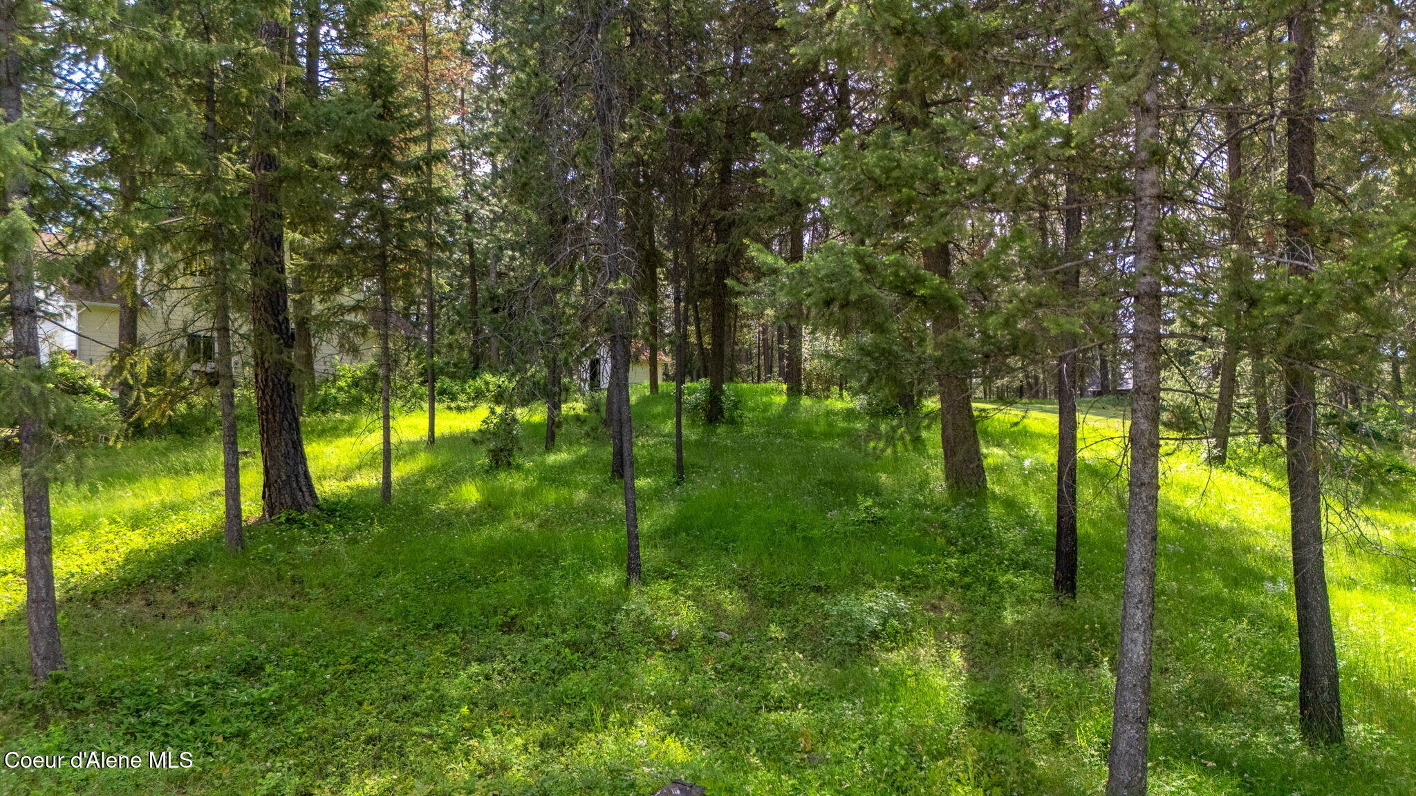 Nna Stoneridge Road Blanchard, ID 83804 - Photo 5 of 17 33-web-or-mls-SkyLight - Stoneridge (DM)