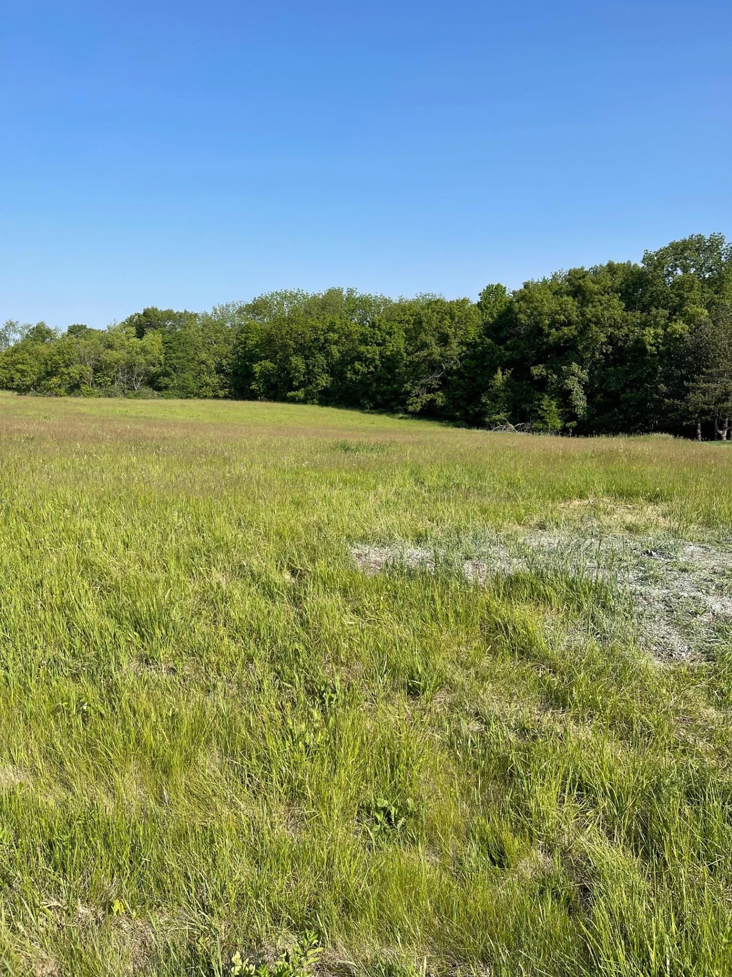24-8 Hidden Ranch Drive Lanark, IL 61046 - Photo 2 of 8 a view of a field with an ocean