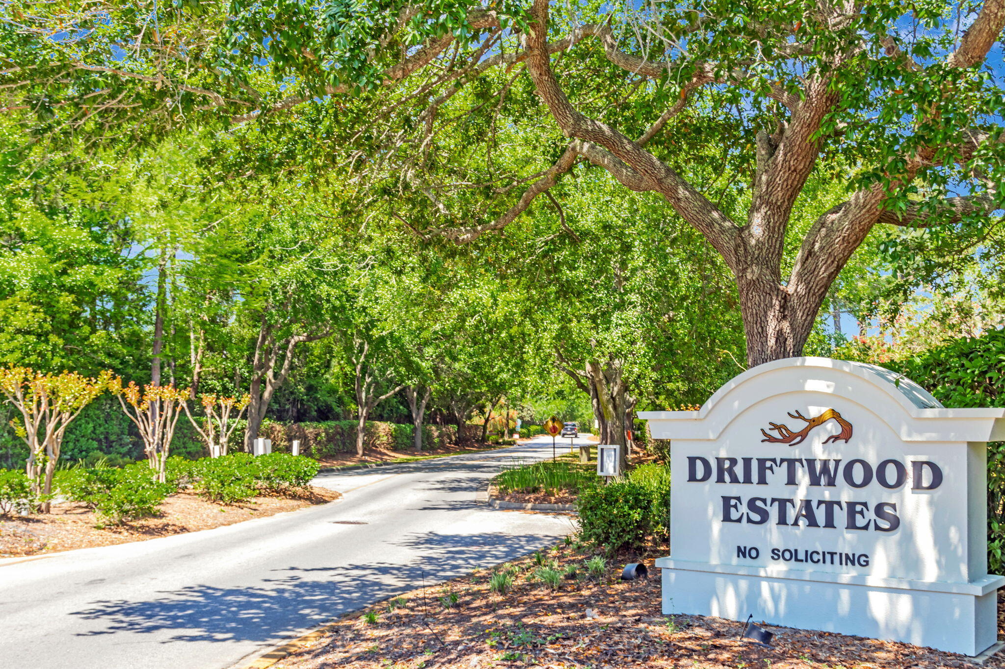 256 Cocobolo Drive Santa Rosa Beach, FL 32459 - Photo 43 of 45 a sign on the side of a road