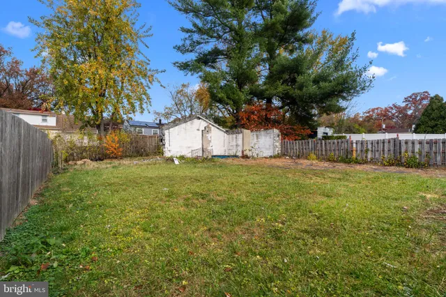 a view of garden with tree