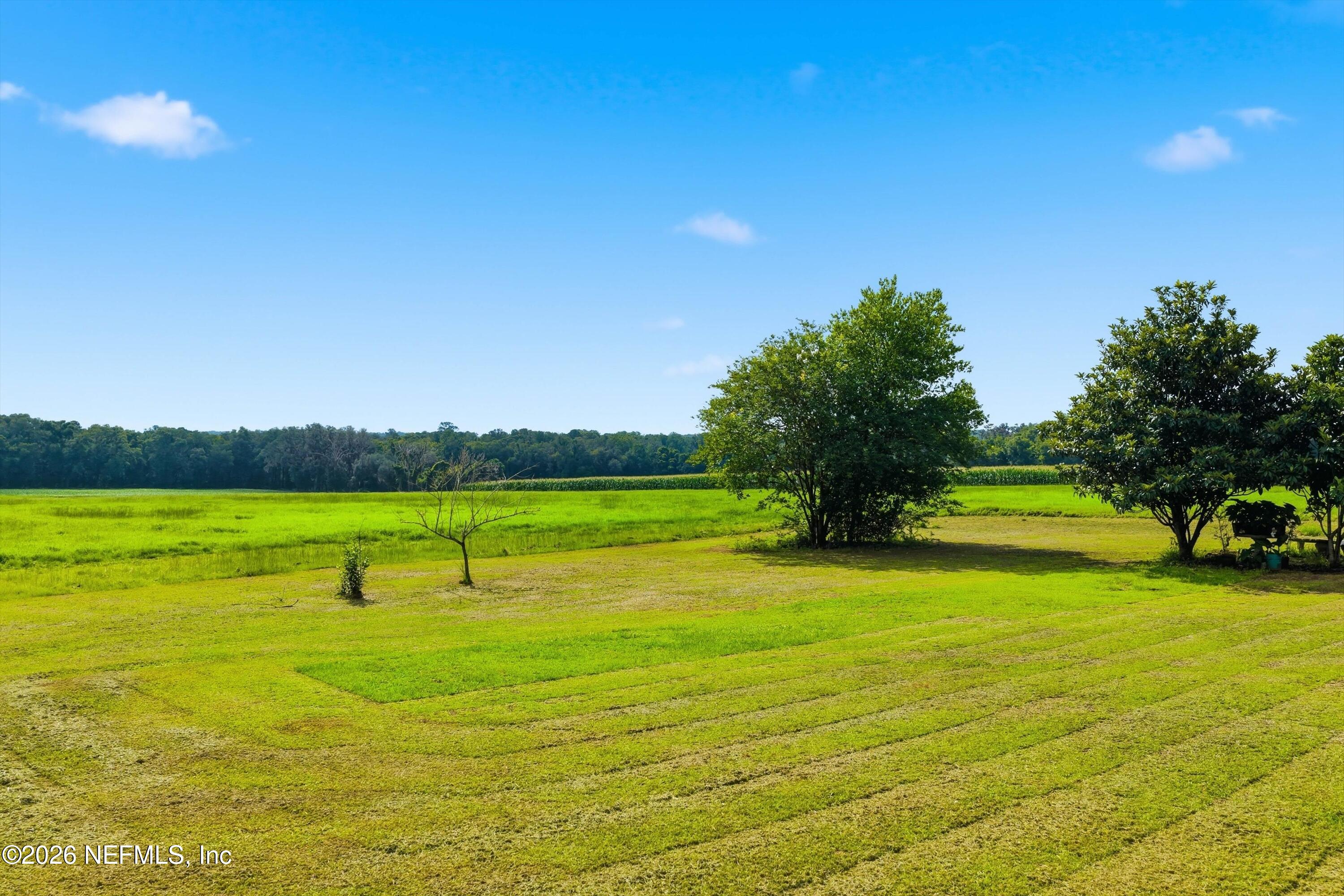 25417 Old Bellamy Road High Springs, FL 32643 - Photo 12 of 16 03-Aerial View