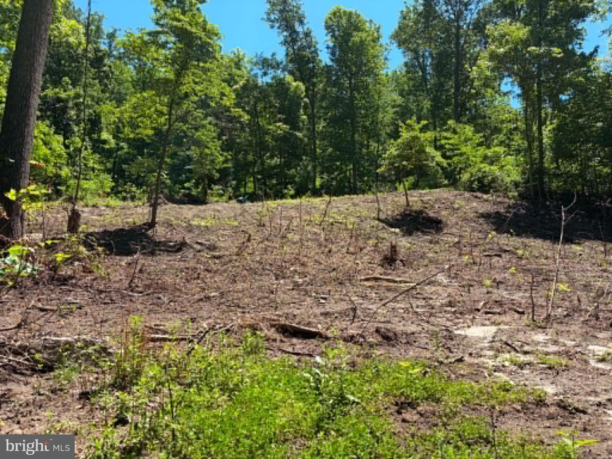 51 Cabin Road Augusta, WV 26704 - Photo 5 of 19