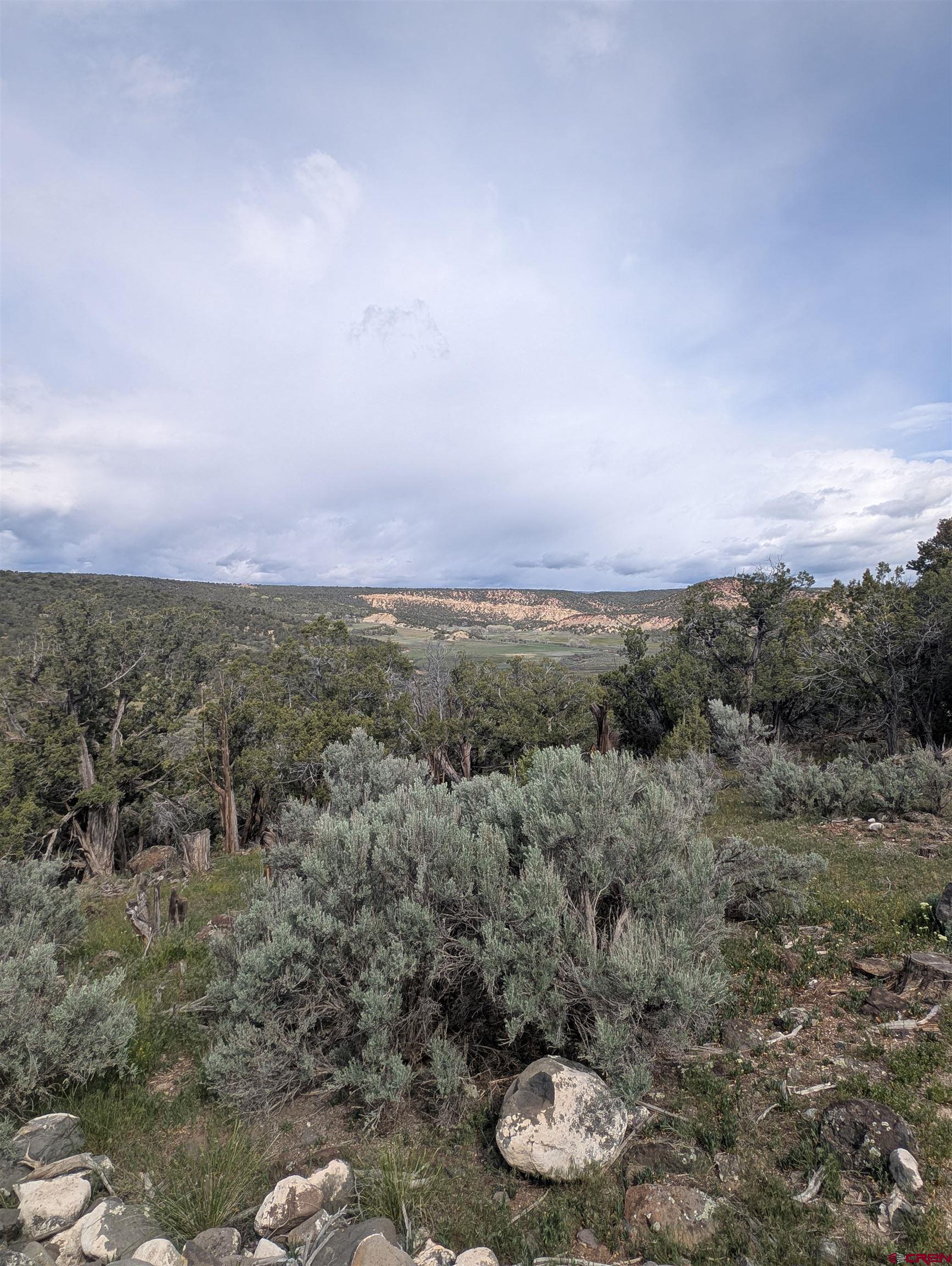 26986 Cactus Park Road Cedaredge, CO 81413 - Photo 28 of 43