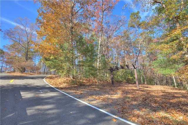 a view of a yard with tree s