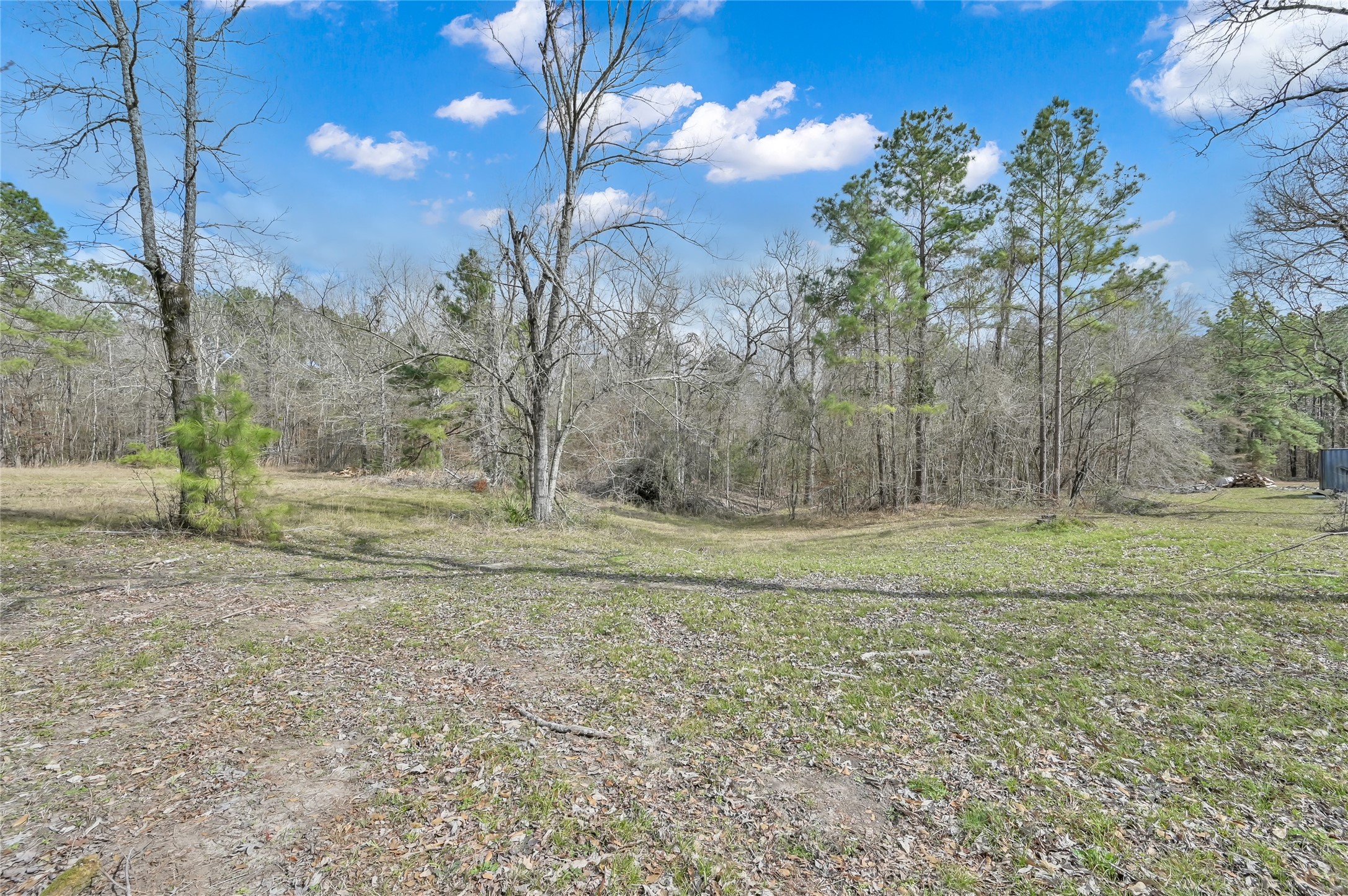 Tbd Tbd Bowling Road Point Blank, TX 77364 - Photo 13 of 14