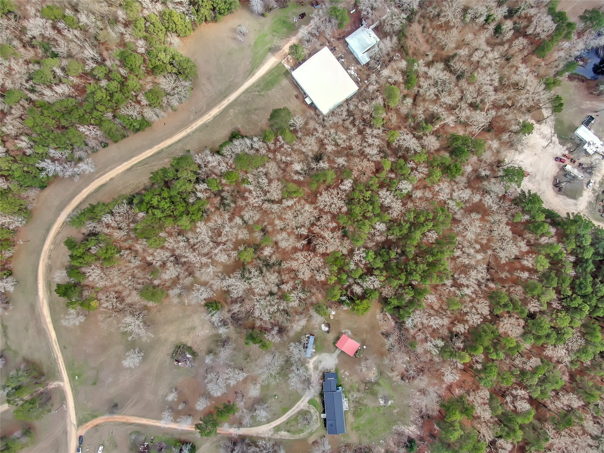 Tbd Tbd Bowling Road Point Blank, TX 77364 - Photo 3 of 14