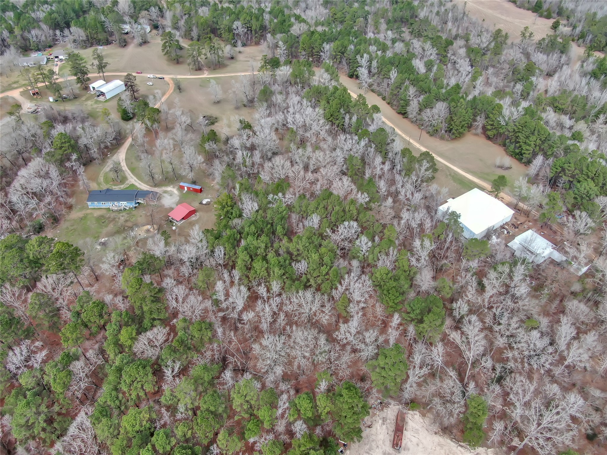 Tbd Tbd Bowling Road Point Blank, TX 77364 - Photo 5 of 14