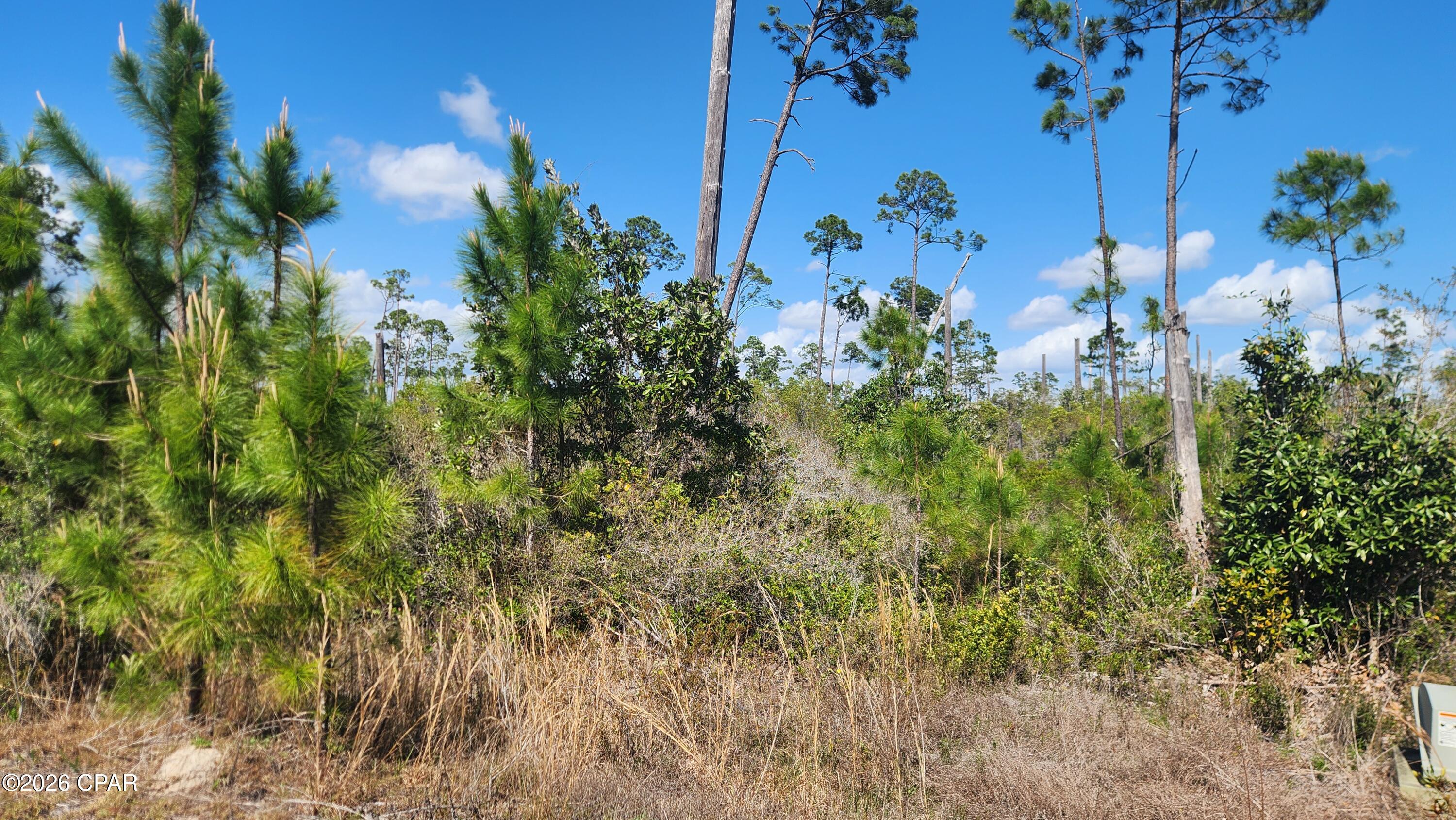 2727 Sting Ray Road Panama City, FL 32404 - Photo 3 of 5