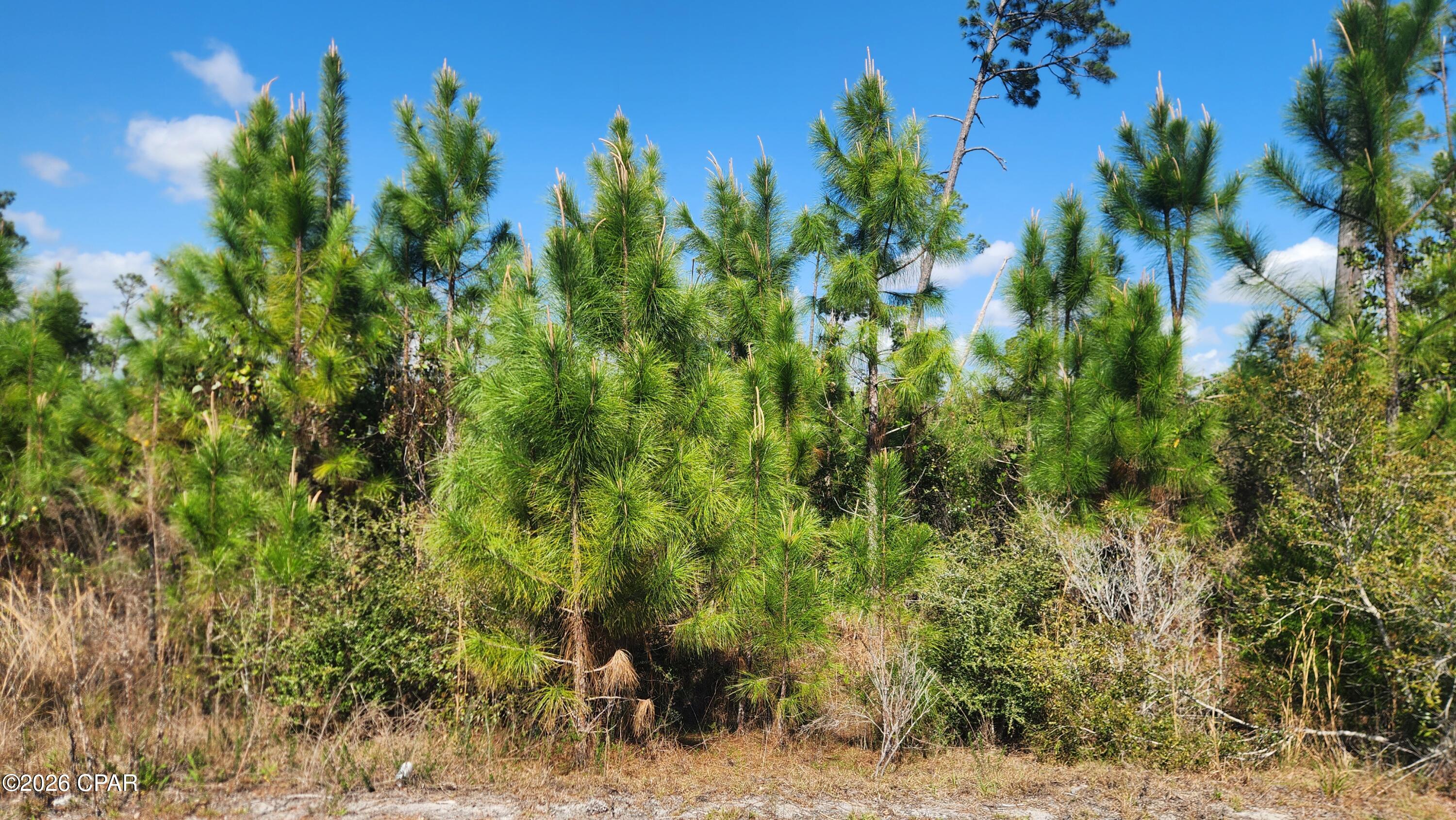 2727 Sting Ray Road Panama City, FL 32404 - Photo 4 of 5
