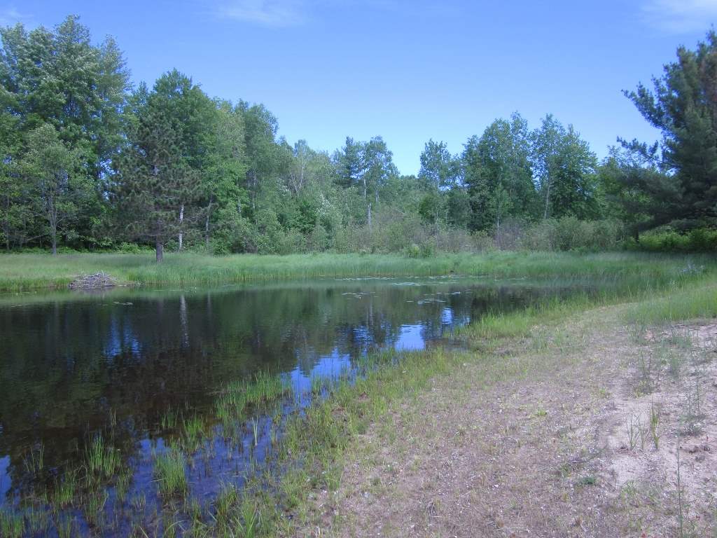 5117 Sunset Trail Road Northeast Kalkaska, MI 49646 - Photo 10 of 35 1829406-9.JPG