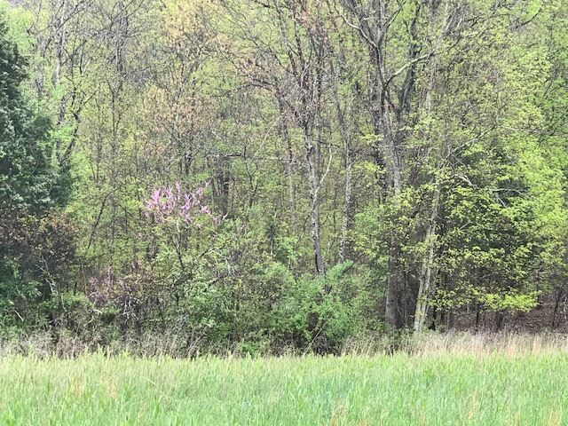 107 Ward Ridge Road Mount Olivet, KY 41064 - Photo 10 of 19 Gallery Image 10