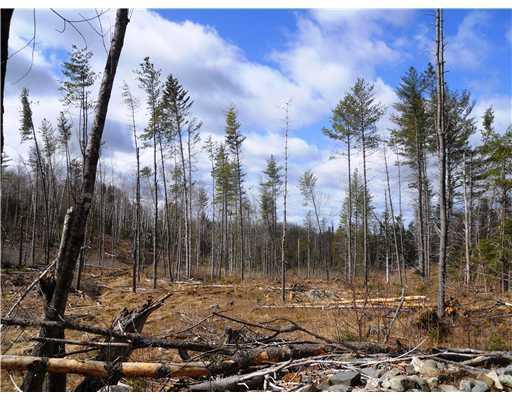 Lot 35 Glass Hill Road Guilford, ME 04443 - Photo 6 of 8 Land.