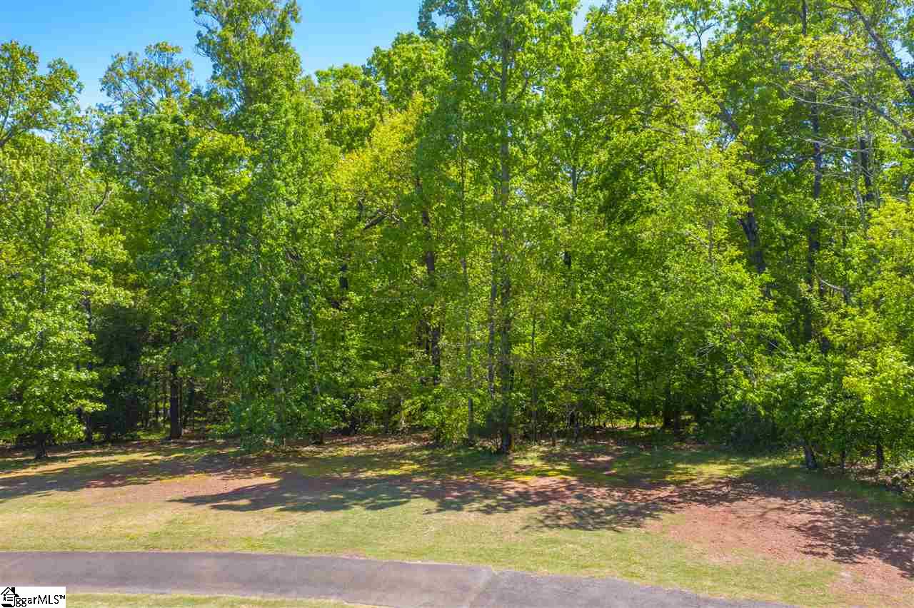 0 Page Lane Greenville, SC 29607 - Photo 2 of 32 Gallery Image 2