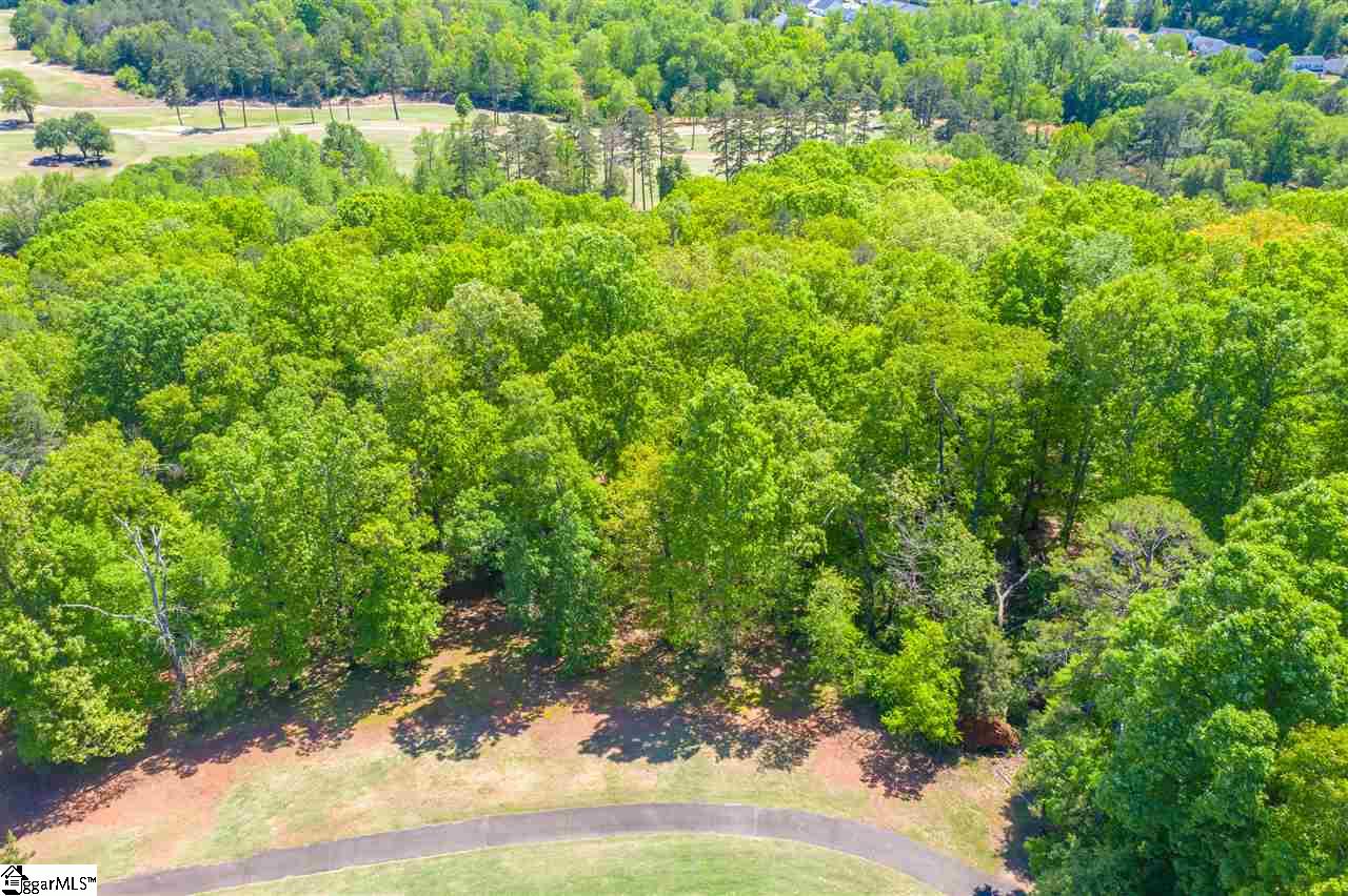 0 Page Lane Greenville, SC 29607 - Photo 7 of 32 Gallery Image 7
