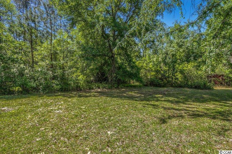 4401 Willow Springs Road Conway, SC 29527 - Photo 35 of 38