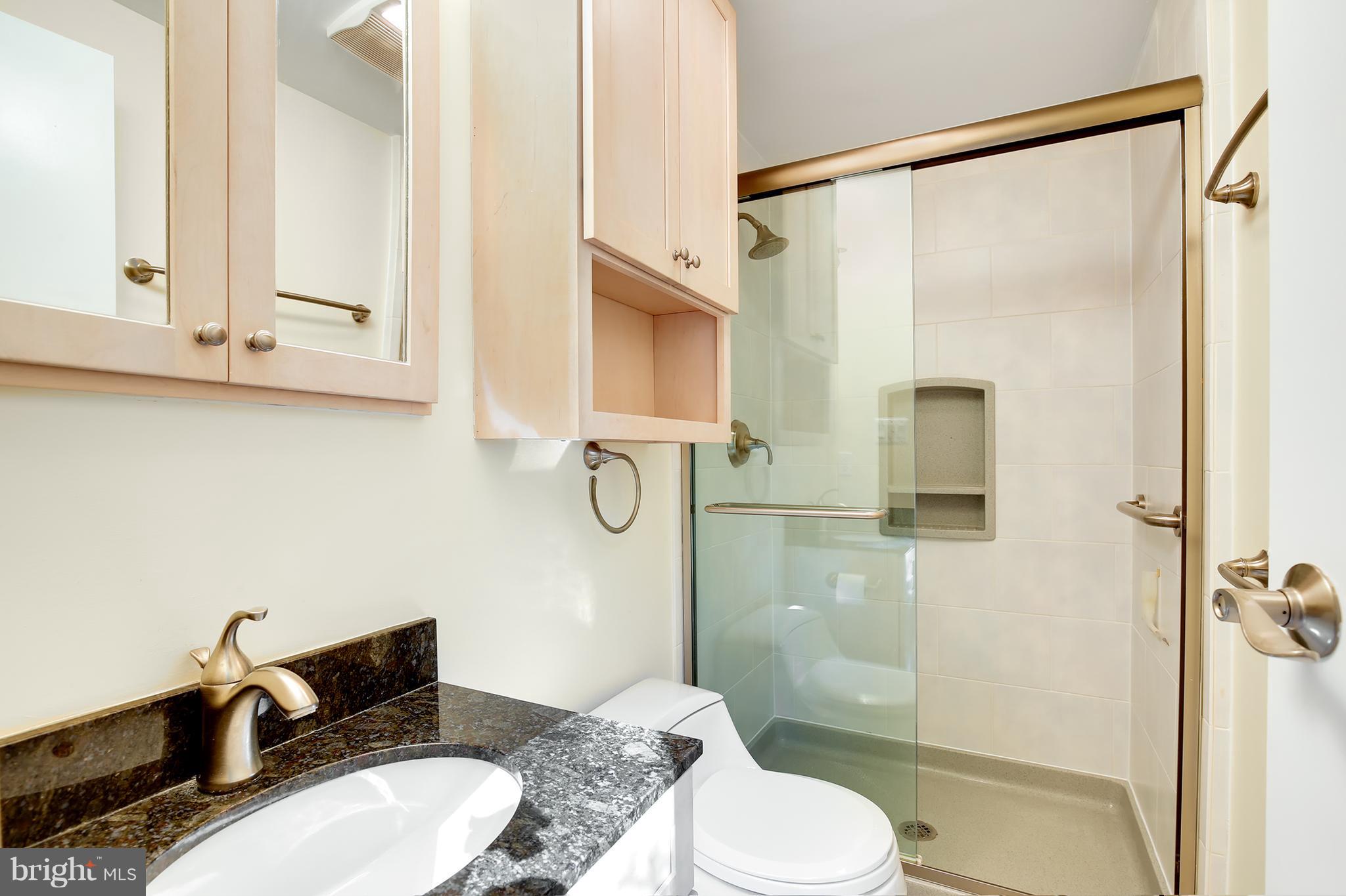 10921 Howland Drive Reston, VA 20191 - Photo 17 of 30 Bath (Master)