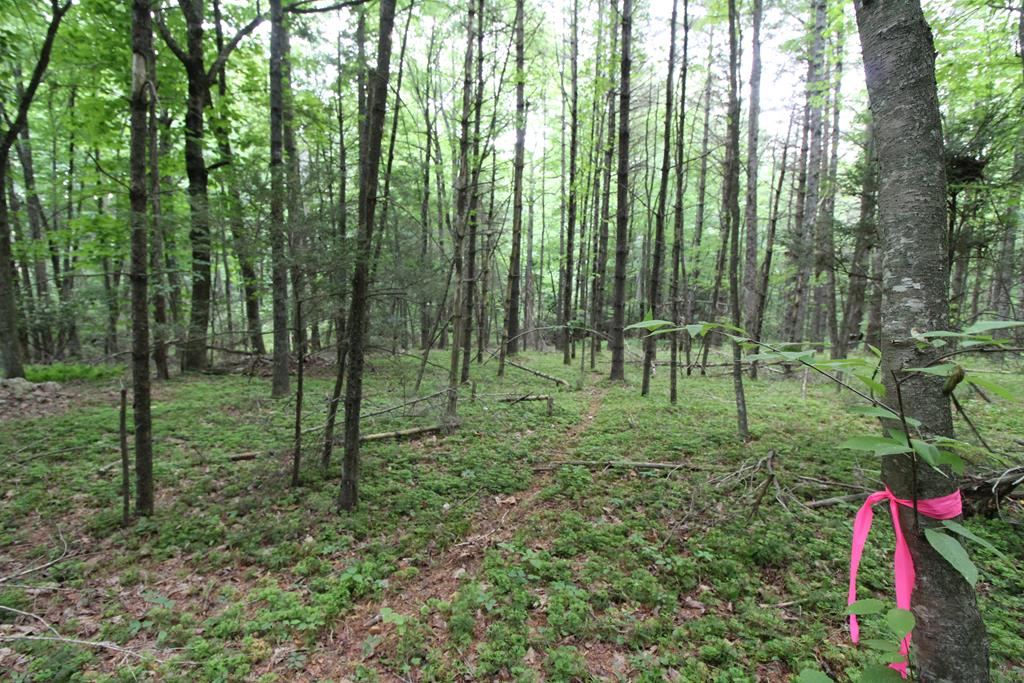 6093 Joy Ranch Road, Unit 126A46 Fancy Gap, VA 24328 - Photo 17 of 69 Gallery Image 17