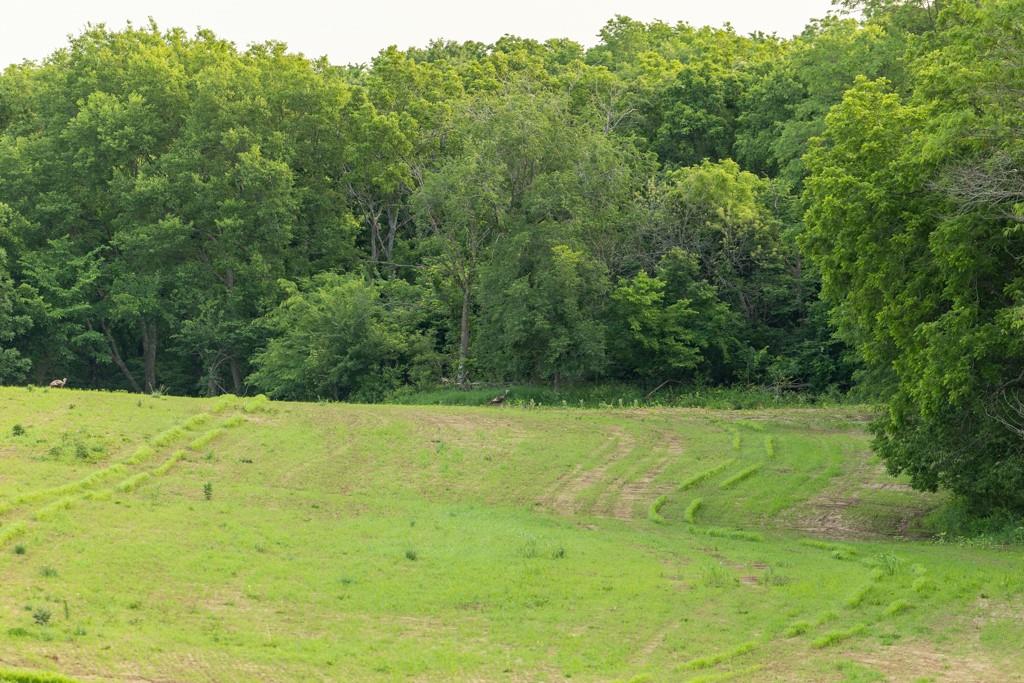 0 Little Platte Road Edgerton, MO 64444 - Photo 34 of 53