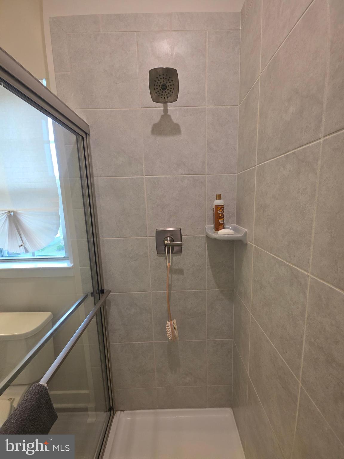 14510 Hunts Farm Road Brandywine, MD 20613 - Photo 52 of 74 Master Shower/His and hers shower heads