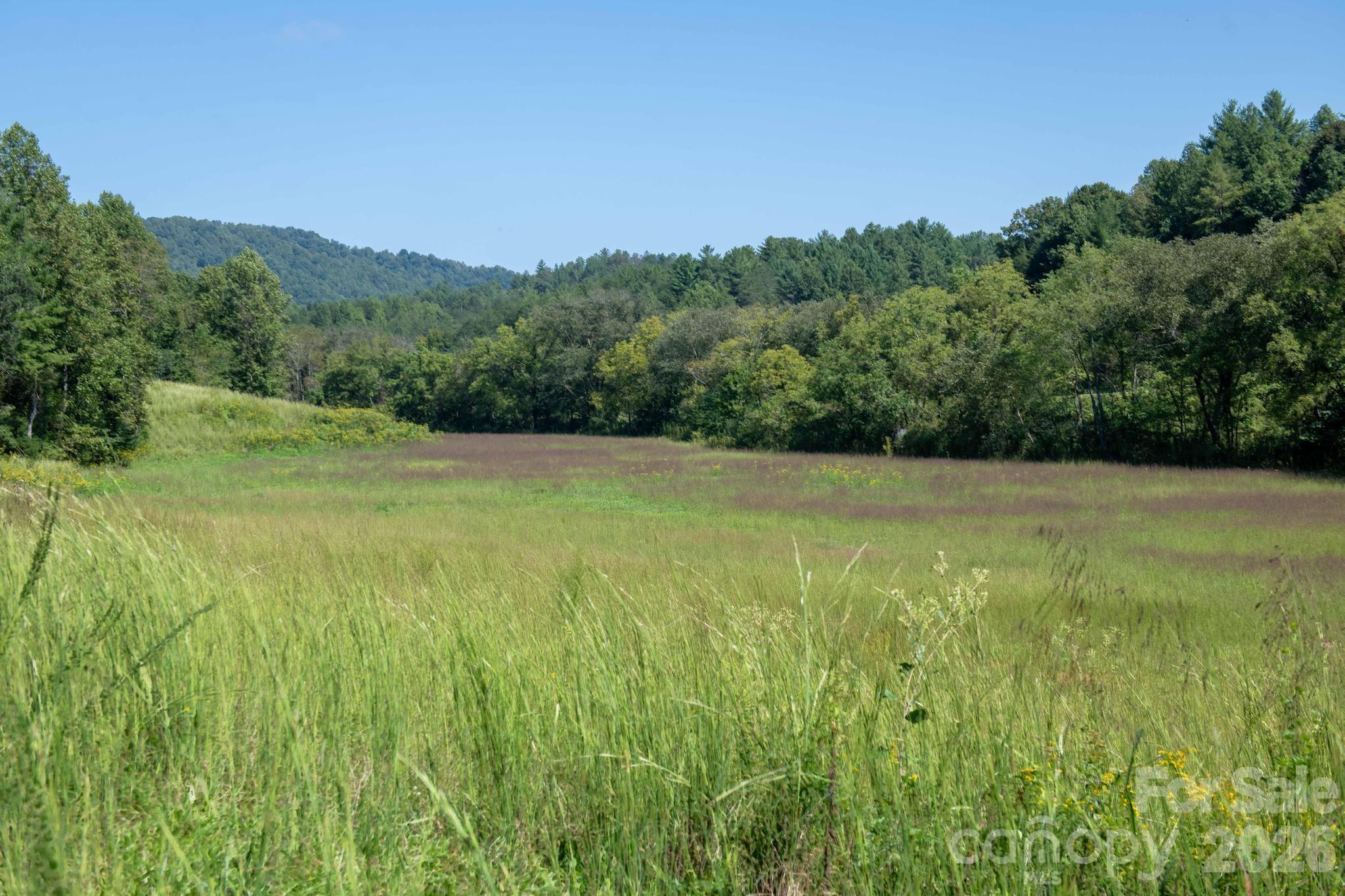 3305 Zacks Fork Road Lenoir, NC 28645 - Photo 28 of 48 Gallery Image 28
