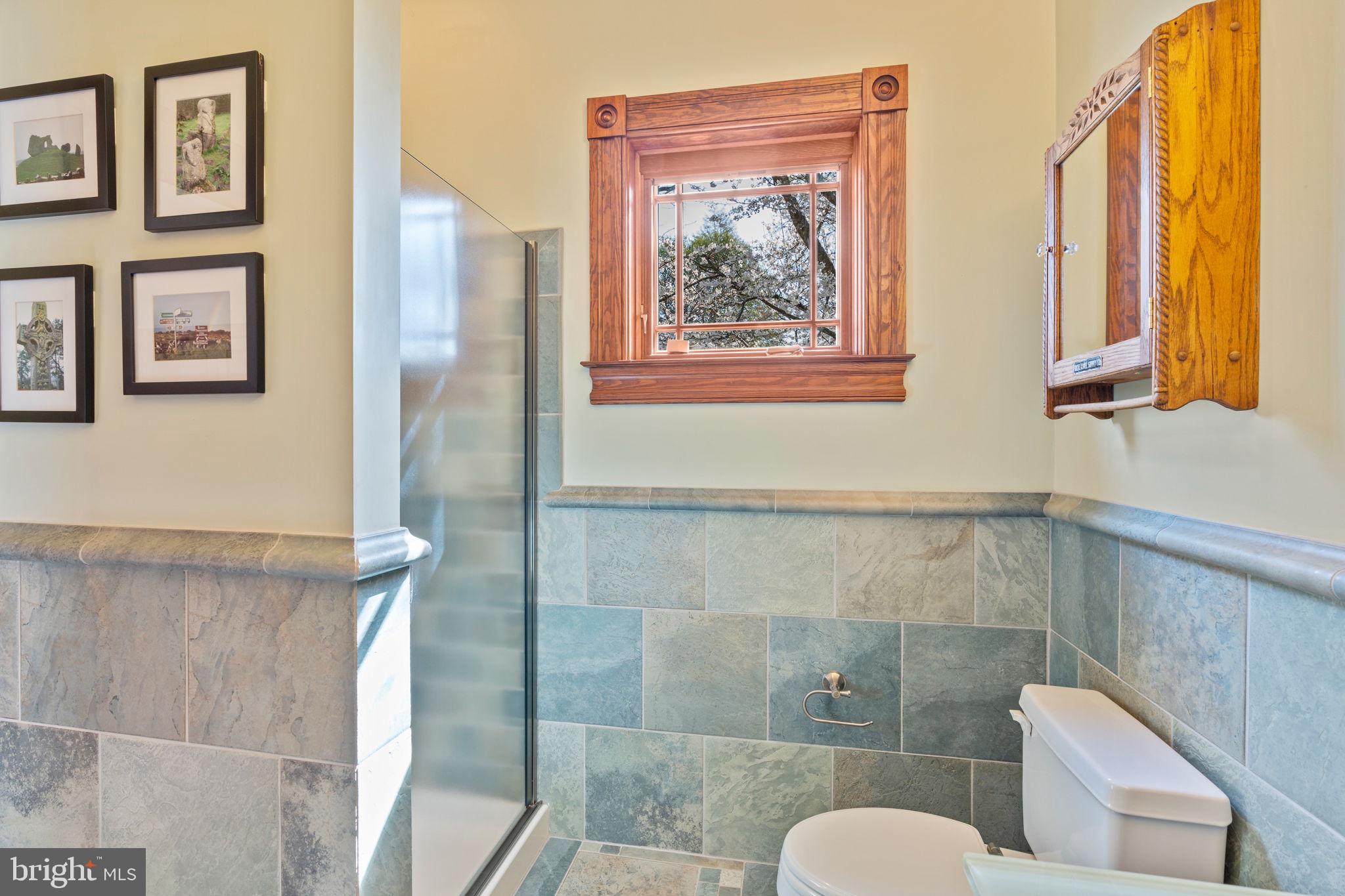 119 Nicodemus Road Reisterstown, MD 21136 - Photo 67 of 105