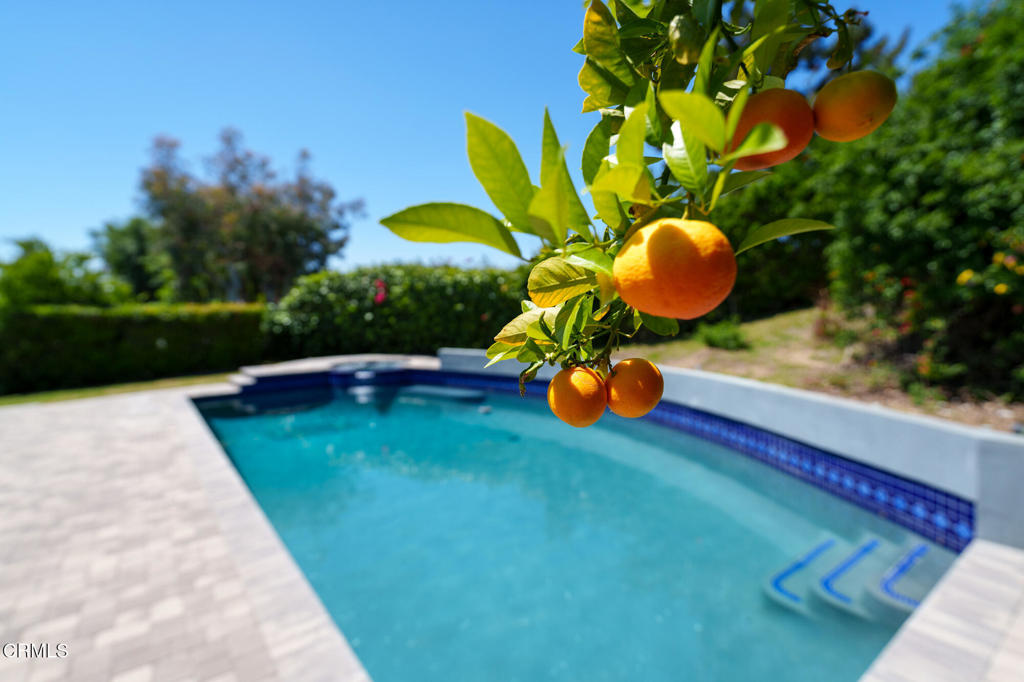 3350 Calvert Road Pasadena, CA 91107 - Photo 40 of 46 3350 Calvert Rd-47