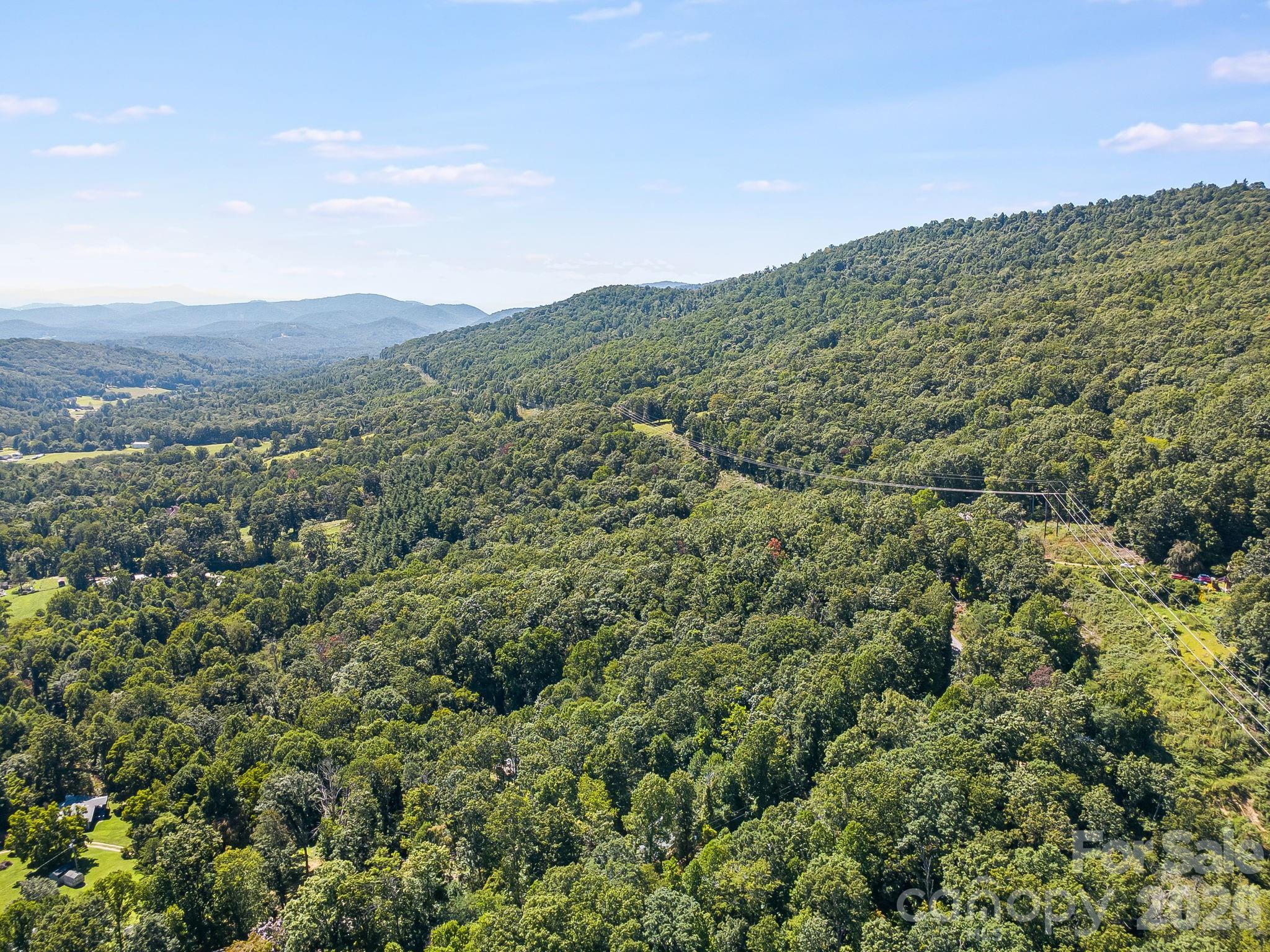 81 Spring Mountain Road Fairview, NC 28730 - Photo 37 of 37 Gallery Image 37
