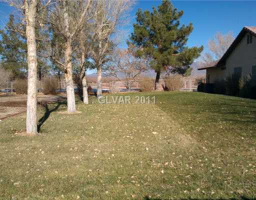 741 West Blosser Ranch Road Pahrump, NV 89060 - Photo 11 of 17 Yard/Garden.