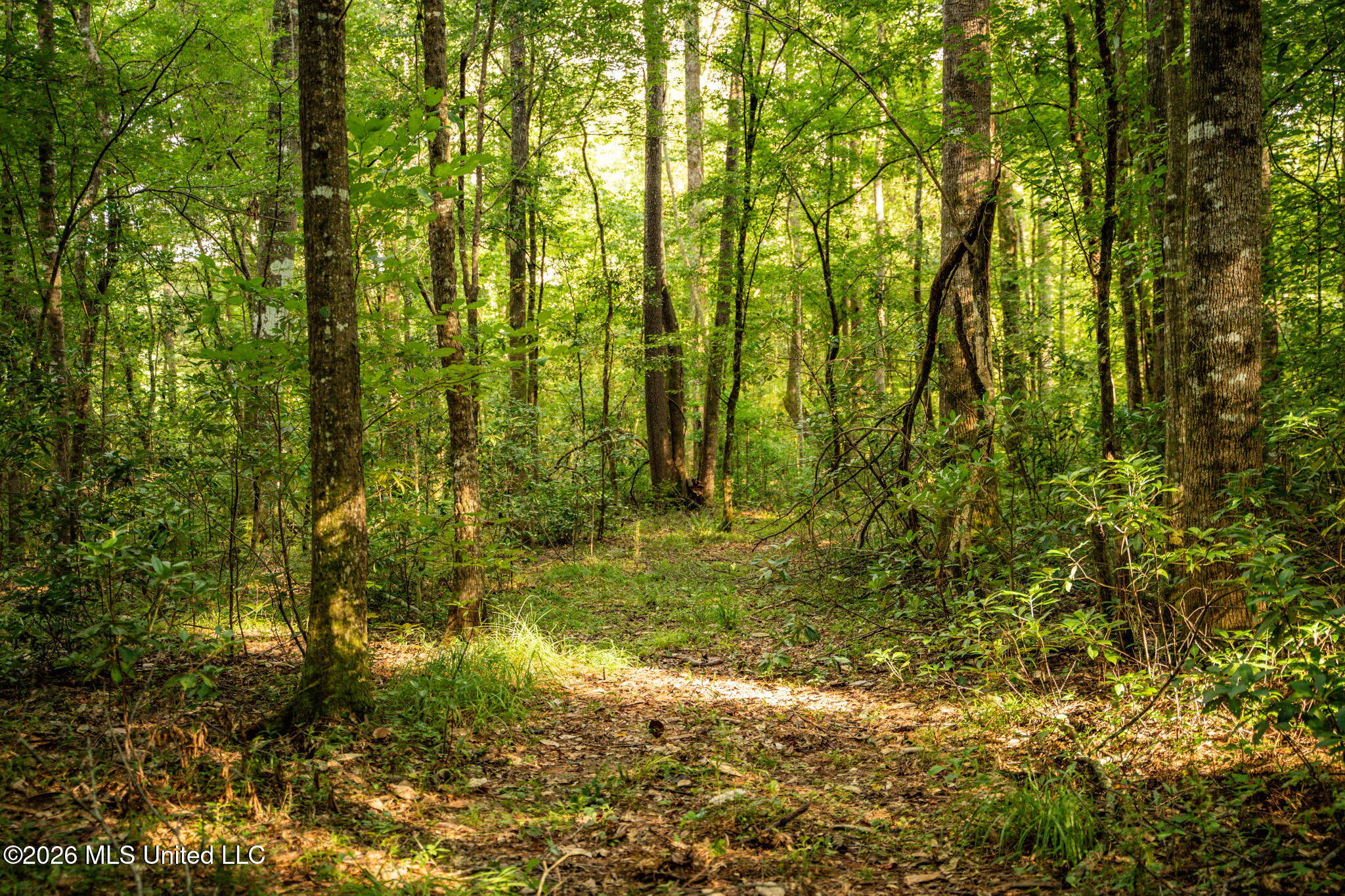 3024 Highway 84 Brookhaven, MS 39601 - Photo 65 of 74 61