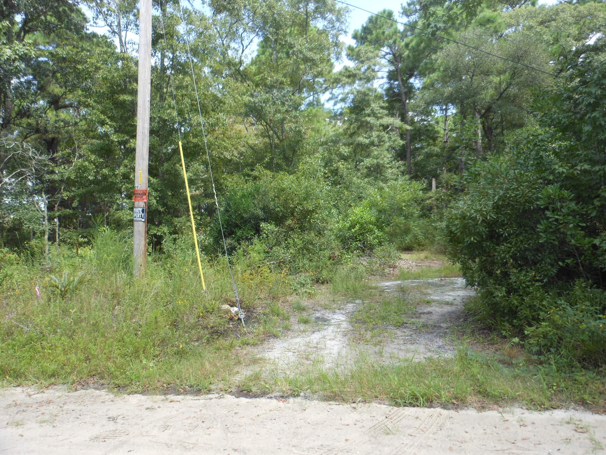0 Evans Road Johns Island, SC 29455 - Photo 2 of 3 DSCN4868