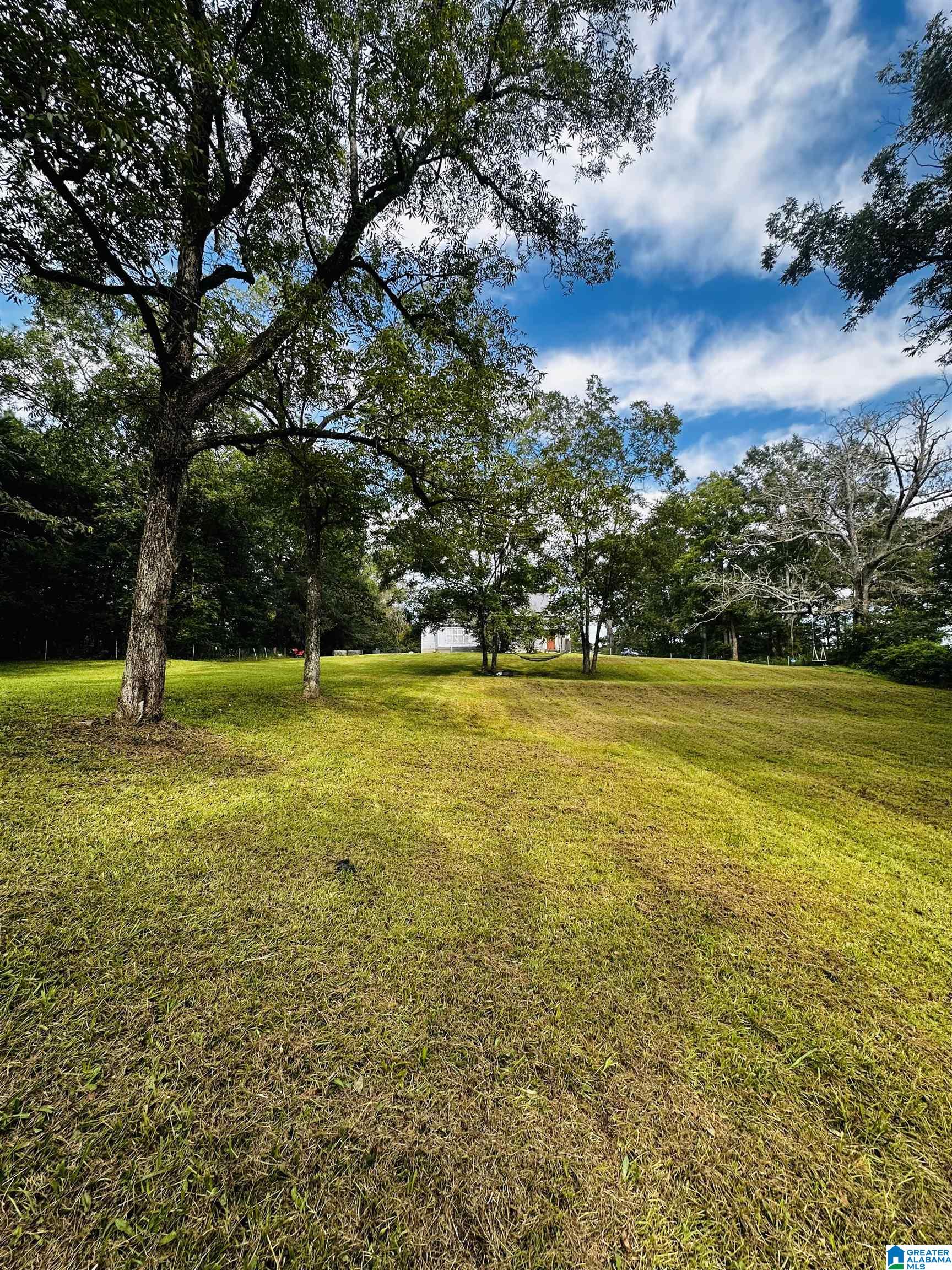 449 Knowles Avenue Lineville, AL 36266 - Photo 14 of 44