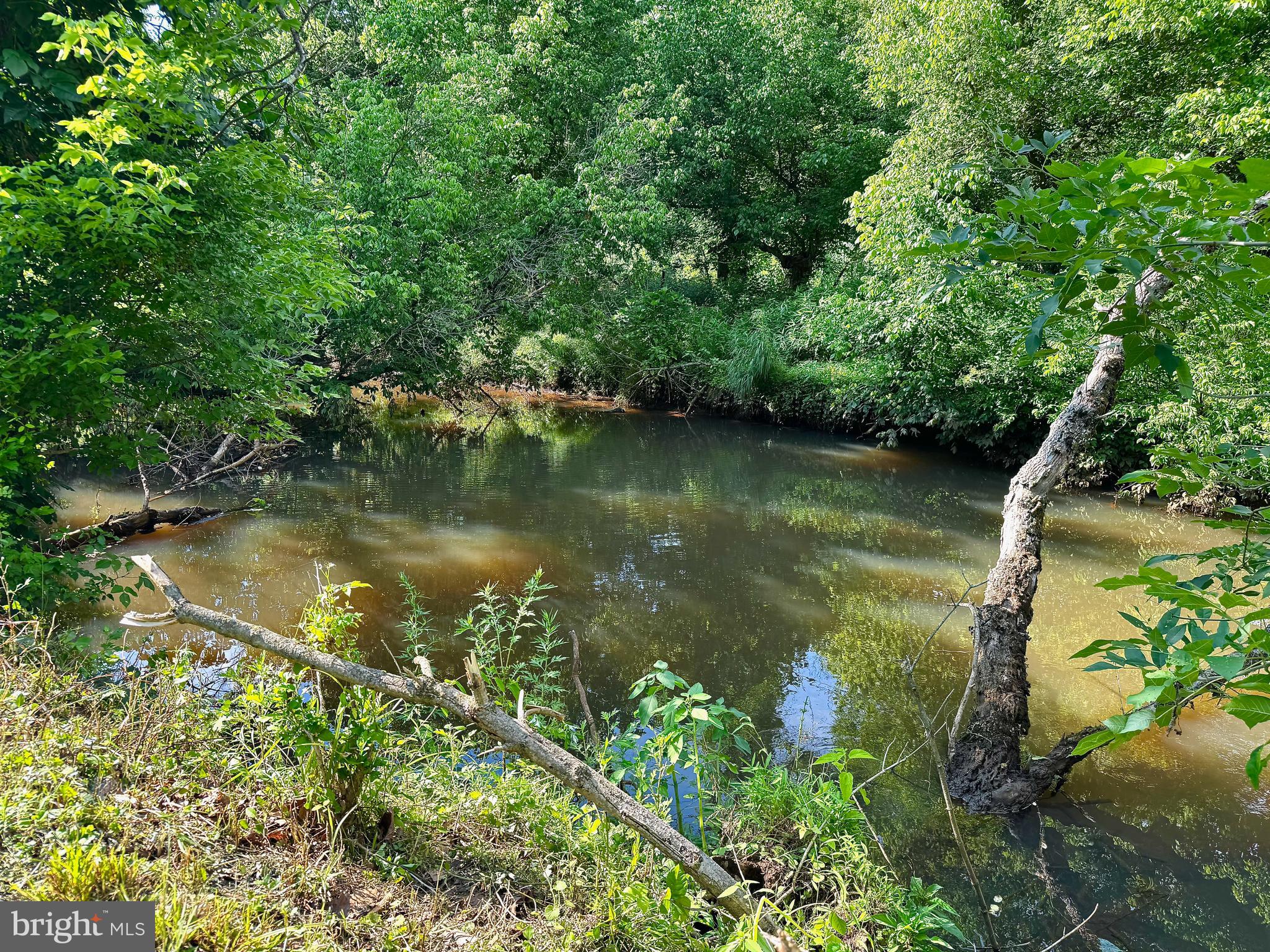 321 Tomlin Station Road Mullica Hill, NJ 08062 - Photo 12 of 33 Racoon creek