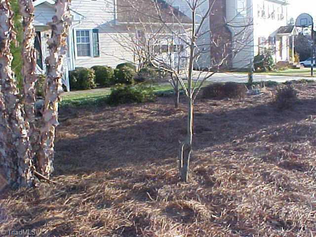 4204 Chilton Way High Point, NC 27265 - Photo 7 of 7 Other.