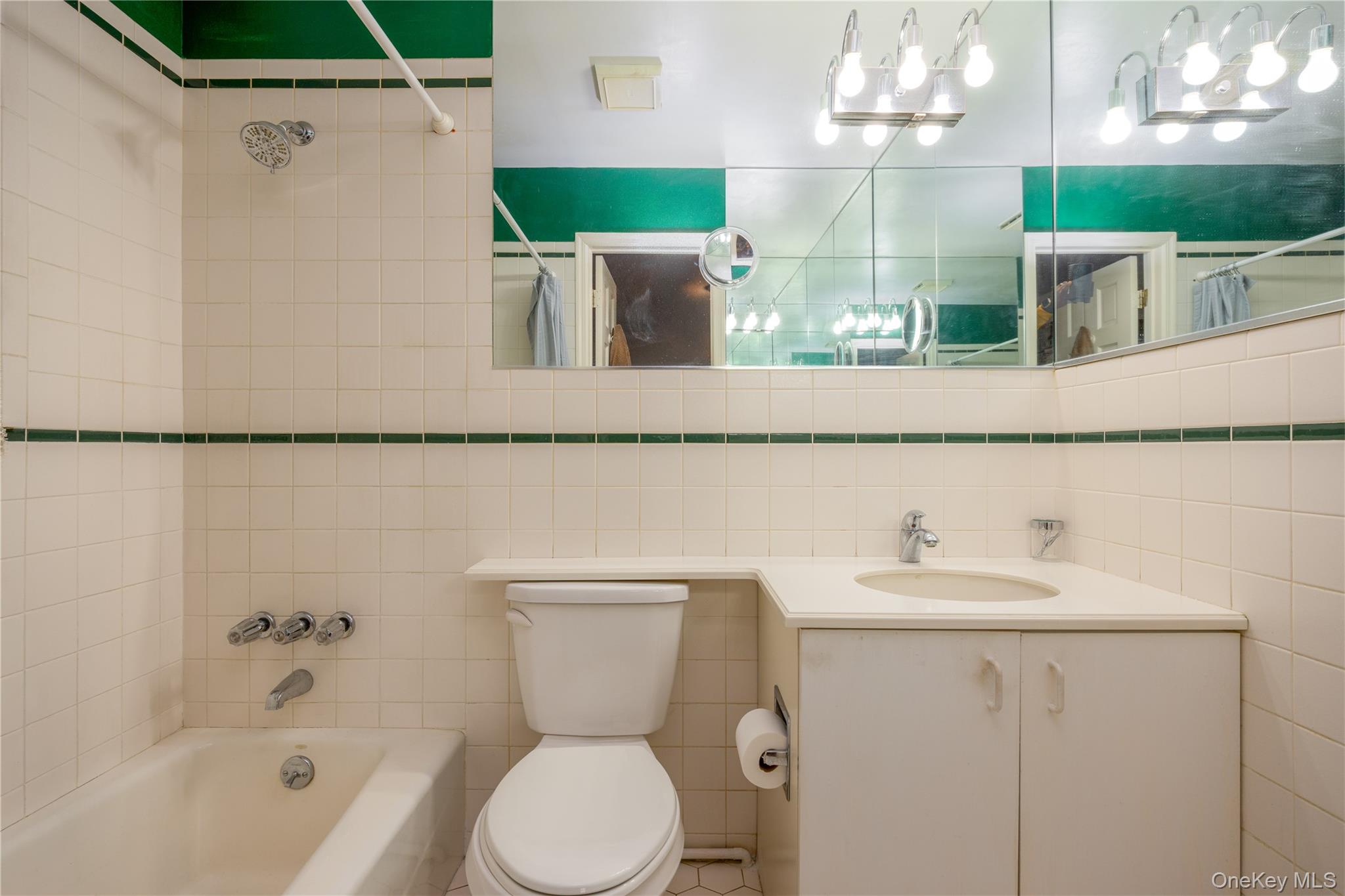 196 East Townline Road West Nyack, NY 10994 - Photo 17 of 35 a bathroom with a sink a toilet and bathtub