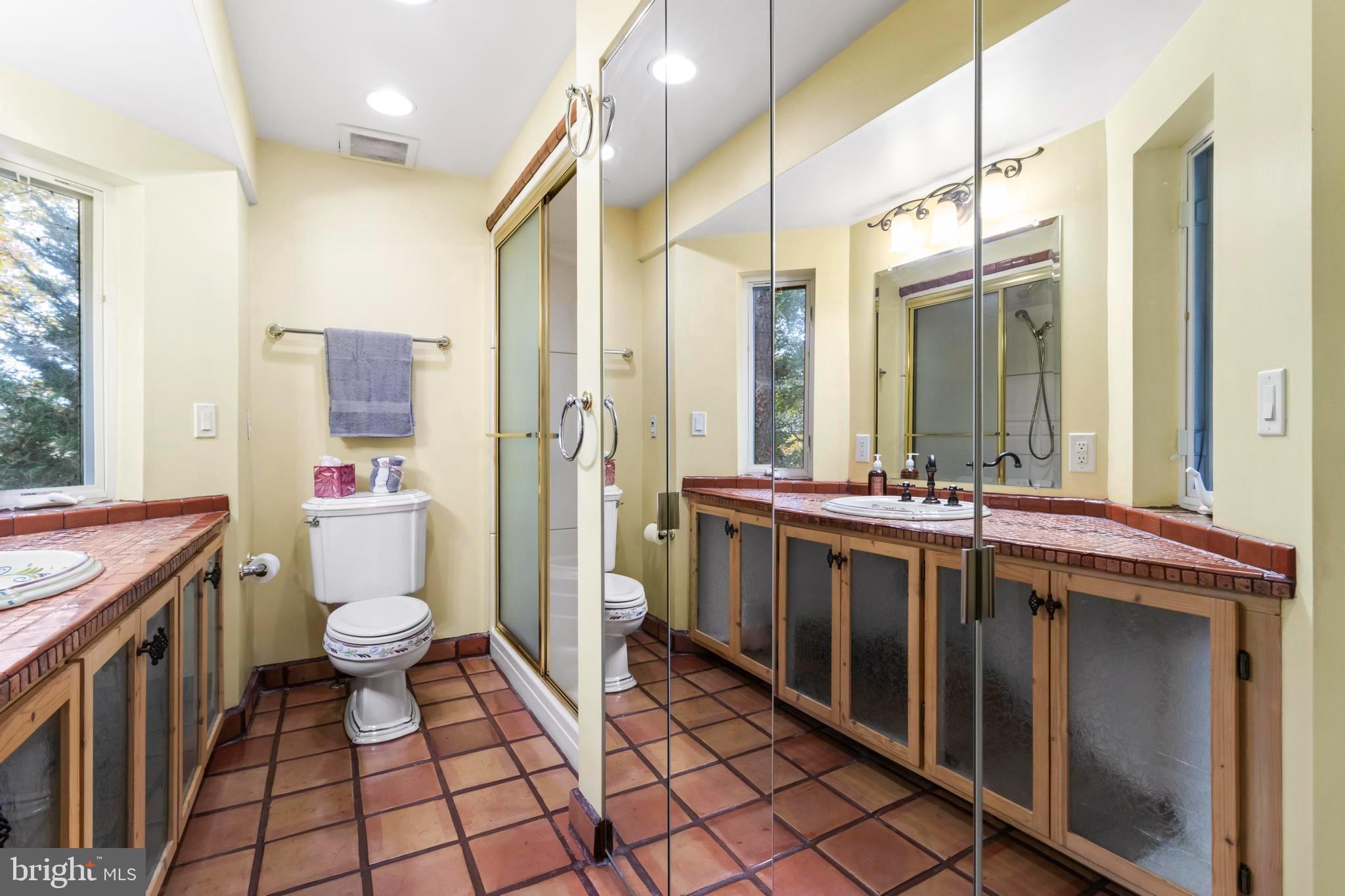 12330 Potomac View Road Newburg, MD 20664 - Photo 59 of 85 a spacious bathroom with a sink a toilet a mirror and shower