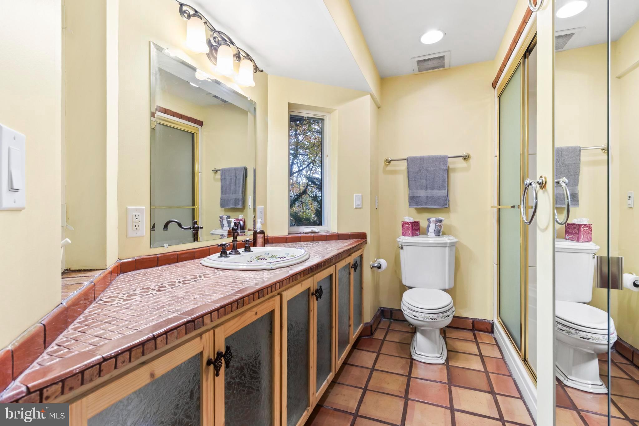 12330 Potomac View Road Newburg, MD 20664 - Photo 60 of 85 a bathroom with a granite countertop sink a toilet a mirror and shower