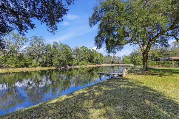 a view of a lake with trees by side of it