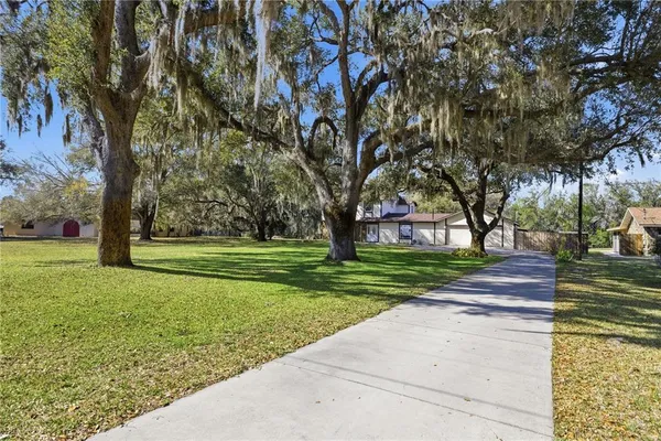 a view of street with large trees