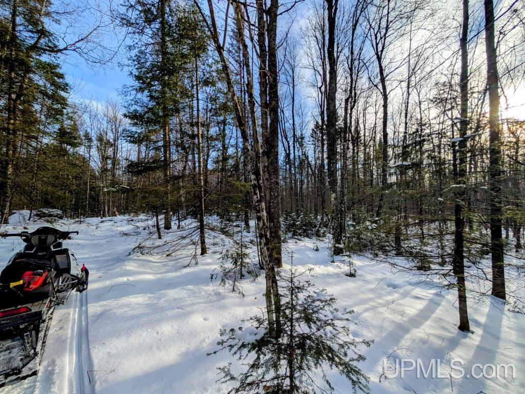 4500 Rd Watersmeet Mi 49969 Road Trout Creek, MI 49967 - Photo 1 of 17
