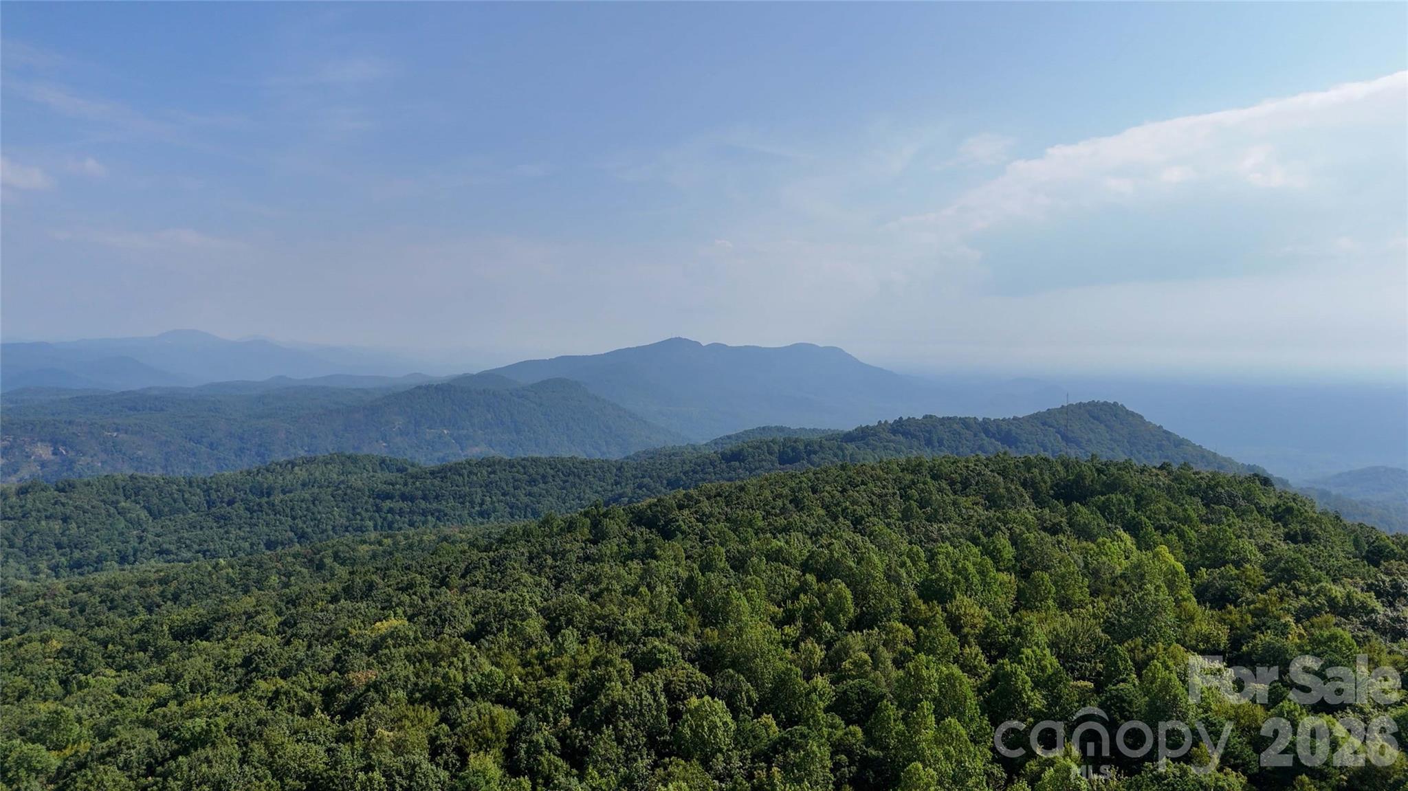 Lot 1 Hogback Mountain Road, Unit 1 Tryon, NC 28782 - Photo 5 of 22 Gallery Image 5